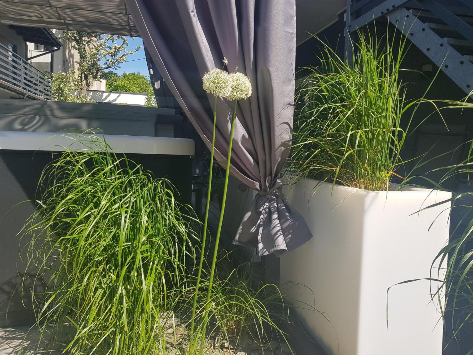 Villa Azalia Łeba Εξωτερικό φωτογραφία